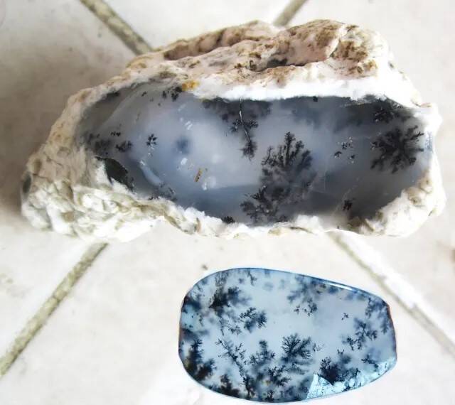 Dendritic Agate