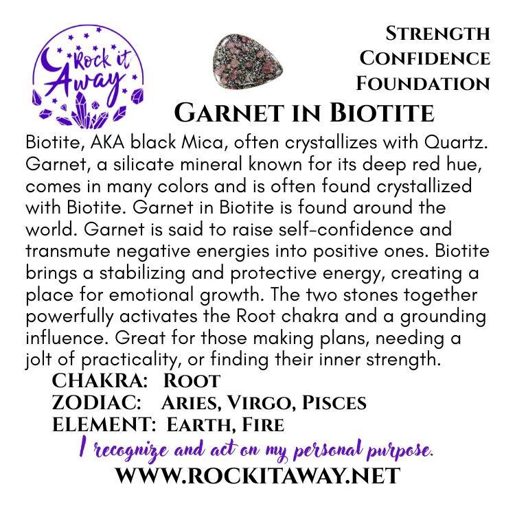Garnet In Biotite